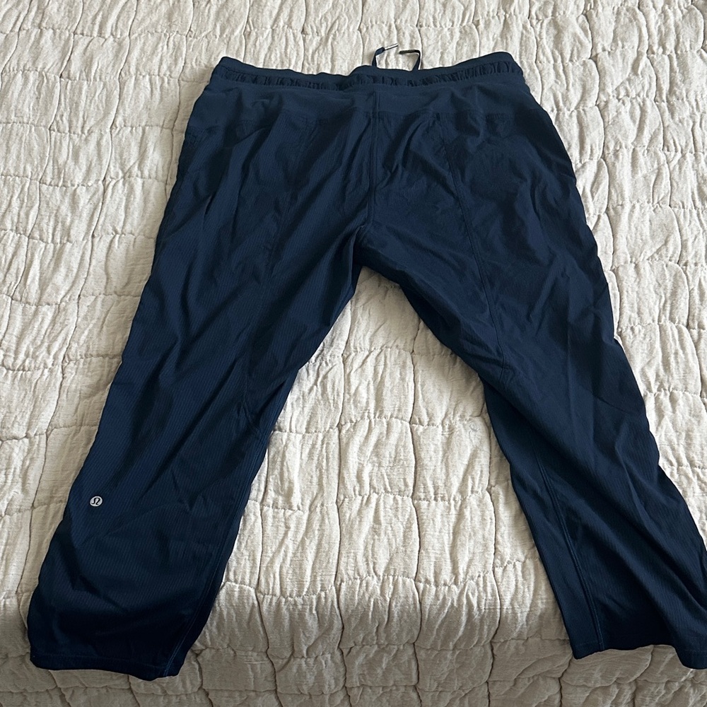 Lululemon Navy Joggers 12 - Picture 5 of 6